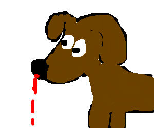 Köpeklerde Burun Kanaması