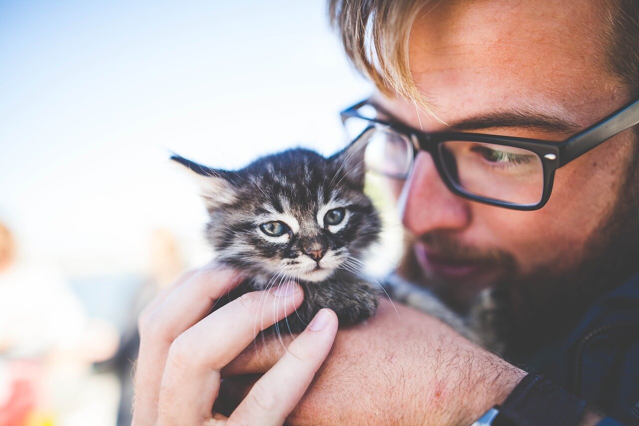 İlk Defa Kedi Besleyeceklere Tavsiyeler