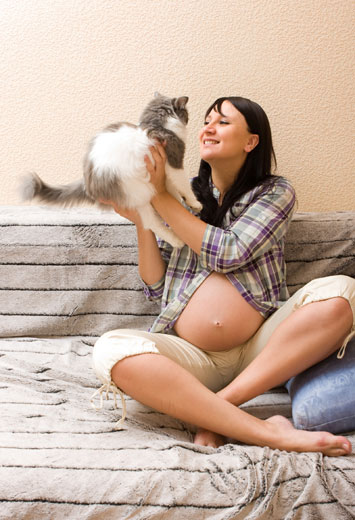 Kedi Tüyü Hamilelerde düşüğe sebep olur mu?