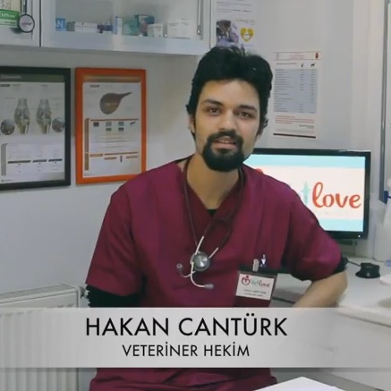 Köpeklerde Gençlik Hastalığı (Distemper) Nedir, Belirtileri, Korunma, Tedavi Hakkında (video anlatım)
