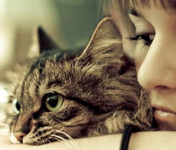 Kedi Bakmanın Püf Noktaları